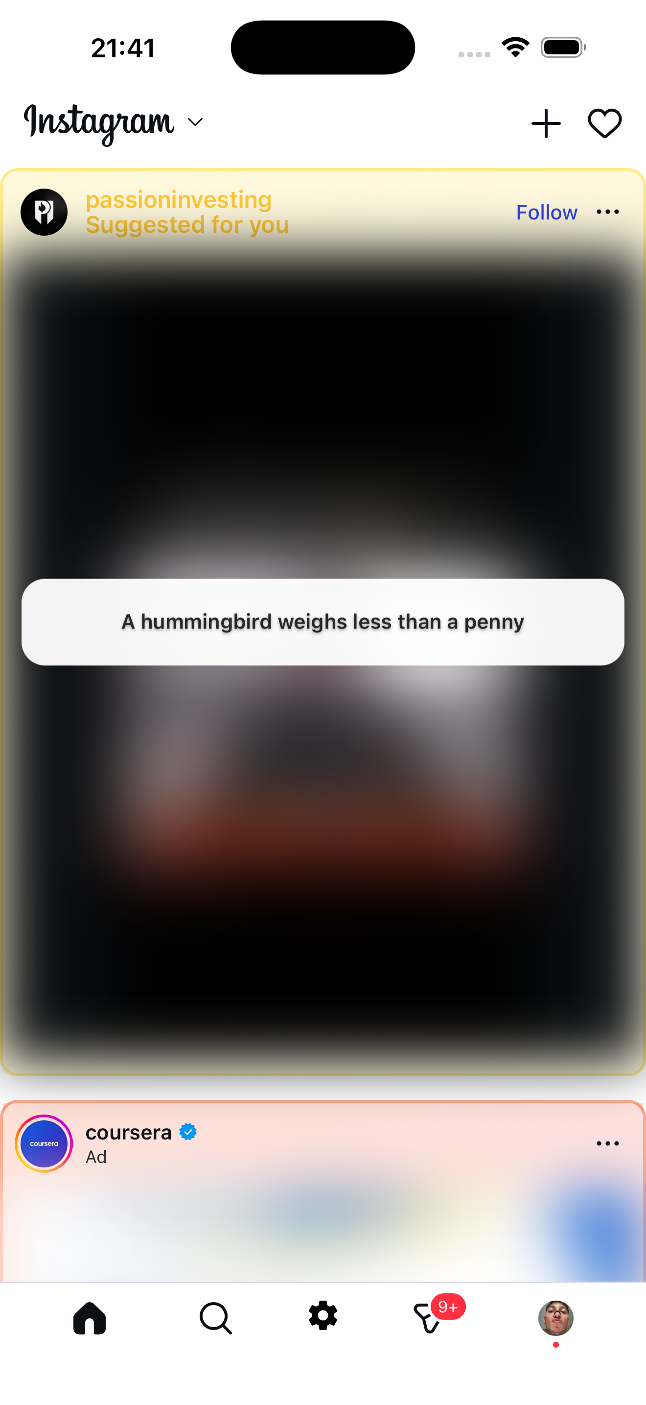 Zen Social feed with a fun fact replacing distracting content